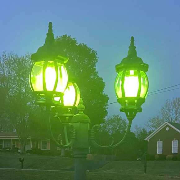 Christal  *Posh Ambassador* - Picture 1 of 1